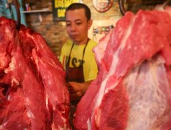 Kemendag: BUMN Dapat 250 Ribu Ton Impor Sapi, Swasta 30 Ribu Ton