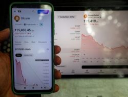 Pemilik Bitcoin Terbesar di Tengah Penurunan Harga