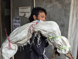 Kronologi Pria Diduga Bawa Mayat Ternyata Bawa Biawak, Niat Jual Malah Viral