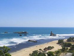 Sejarah Pacitan: Jejak Kerajaan hingga Budaya Jawa Timur yang Unik