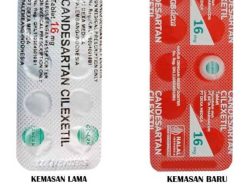 6 Obat Alami untuk Mencegah Serangan Stroke Mendadak