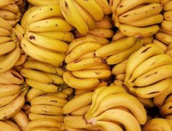 10 Makanan Tinggi Kalori untuk Peningkat Berat Badan