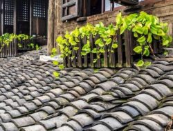 Hanya 6,05 Persen Rumah Tangga di Kaltim Gunakan Atap Genteng, Ini 5 Wilayah Terbanyak