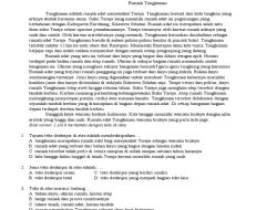 50 Soal Bahasa Indonesia Kelas 7 SMP Semester 2 dengan Jawaban