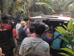 Pria Sumsel Tewas Diterkam Harimau Saat Cari Ikan