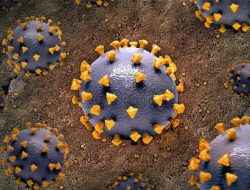 Ini alasan anak divaksin tapi masih terkena campak