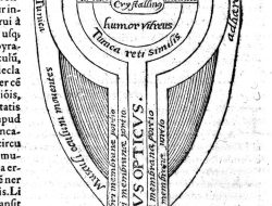 5 Warisan Ilmiah Ibnu al-Haytham yang Menginspirasi Optik Modern