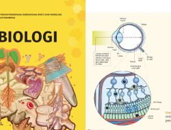 Kunci Jawaban Biologi Kelas 11 Halaman 114-116 Kurikulum Merdeka