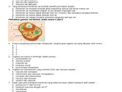 65 Soal Biologi Kelas 11 dengan Kunci Jawaban untuk Latihan Mandiri