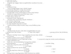38 Soal Essay PLH Kelas 5 Semester 2 dengan Kunci Jawaban