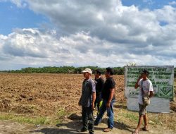 PT Bumi Flora Bantah Tudingan Rampas Tanah, Tunjukkan Legalitas HGU dan Riwayat Komensasi