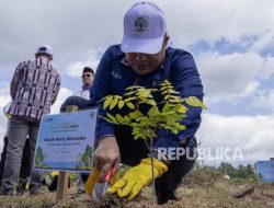 Sertifikasi Wakaf Perlu Naik Kelas, dari Legalitas ke Dampak Nyata