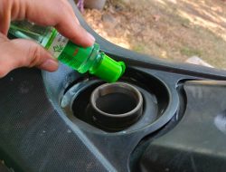 Beberapa Orang Percaya Minyak Kayu Putih Tingkatkan Oktan Pertalite, Ini Penjelasan Ilmiahnya