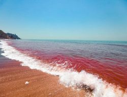 5 Fakta Mengejutkan Pulau Merah Iran, Lautnya Mirip Darah!
