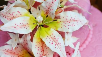 Satu Alasan Raffi Ahmad Rayakan Ulang Tahun Baby Lily Hanya Acara Tiup Lilin, Suami Nagita: Belum Paham