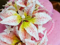 Satu Alasan Raffi Ahmad Rayakan Ulang Tahun Baby Lily Hanya Acara Tiup Lilin, Suami Nagita: Belum Paham